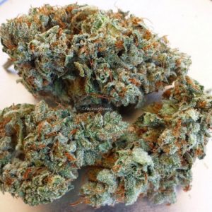 Silver Haze